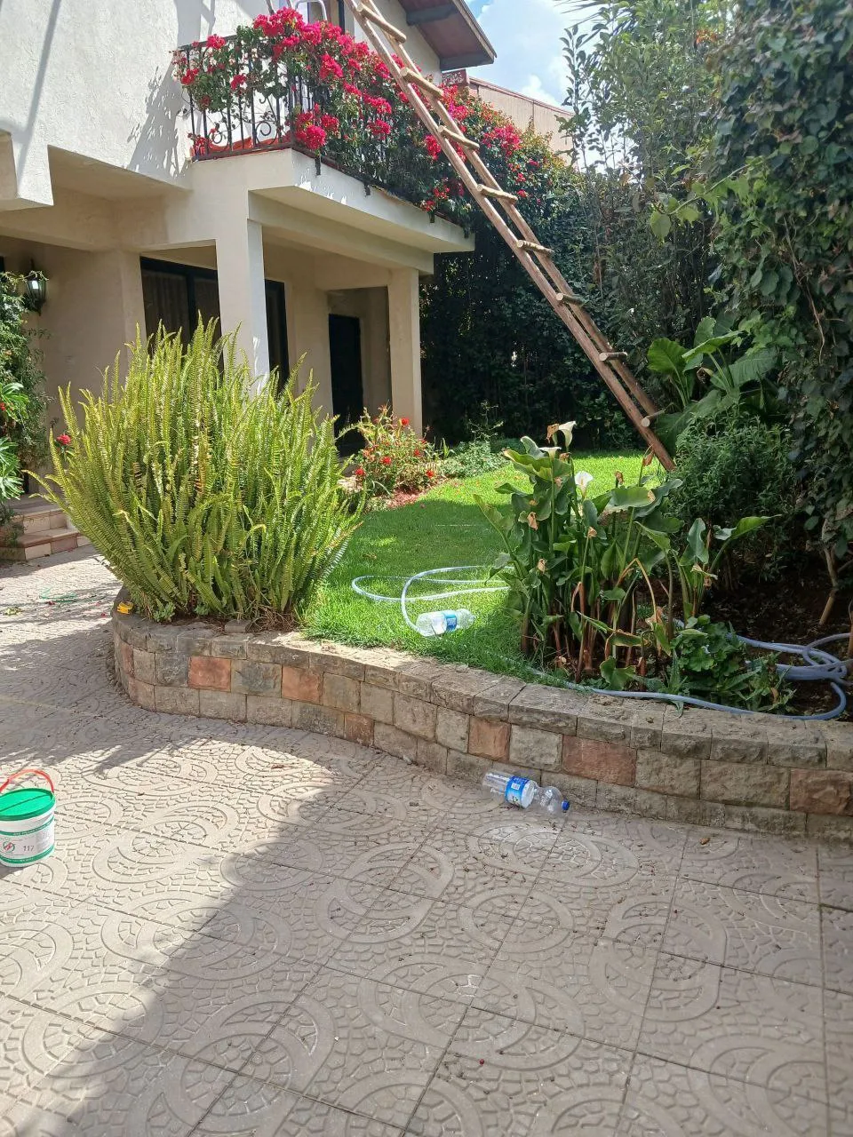 ባንክ ያለበት ቤት አያት 300 ካሬ – photo 7