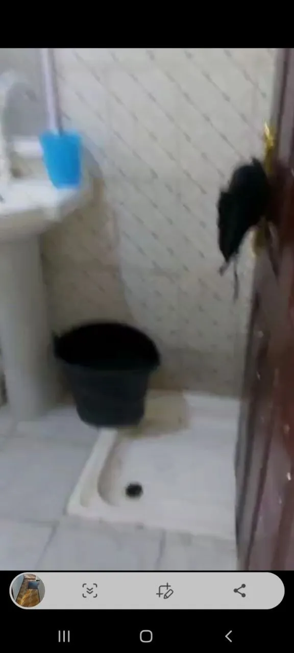 Bole Arabsa Studio Condo 29 Sqm – photo 4