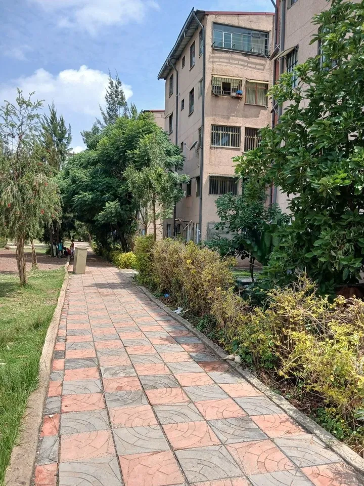 2 Bedroom 20/80 Condominium 72 sqm – photo 9