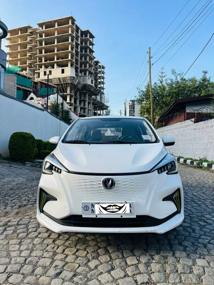 E-Star 2023 Electric Car – photo 3