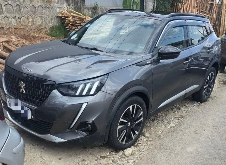 Peugeot 2008 2022 Compact SUV – photo 5