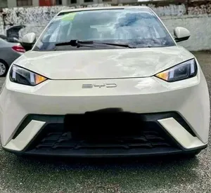 BYD Seagull 2025 Premium Electric Crossover SUV