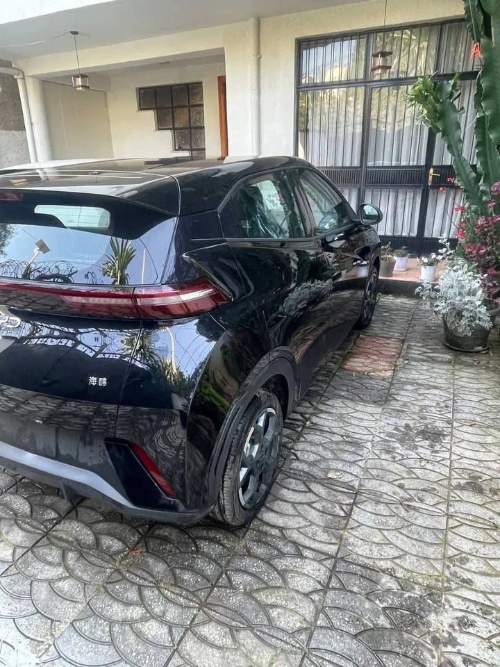 BYD Seagull 405KM Premium Electric – photo 3