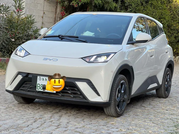 BYD Seagull 2024 Full Electric – photo 5