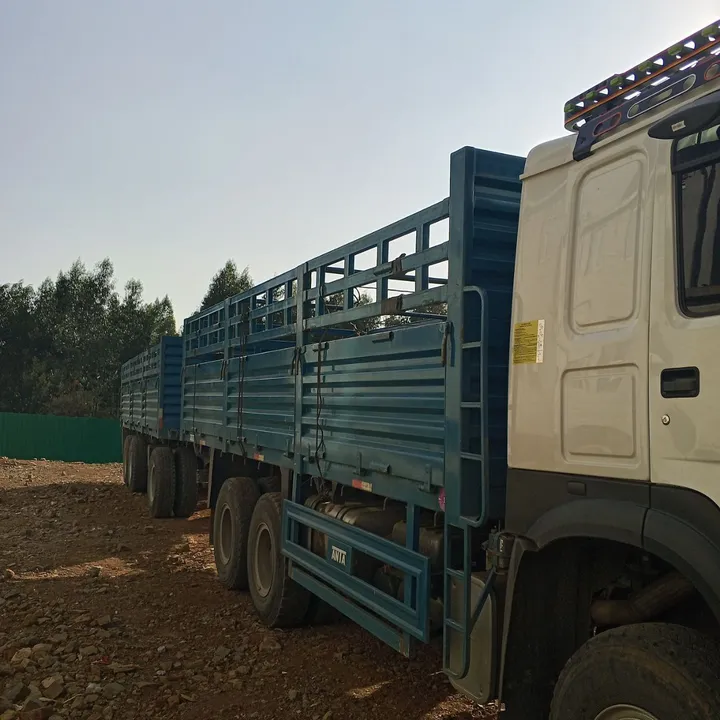 2024 Sinotruk Casoni Truck with Trailer – photo 3