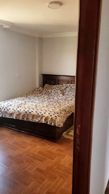 3 Bedroom Condo in Bole Arabsa – photo 4