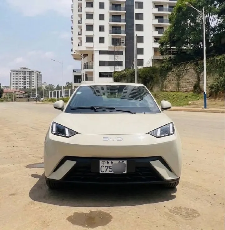 BYD Seagull Premium Electric 2025 – photo 3