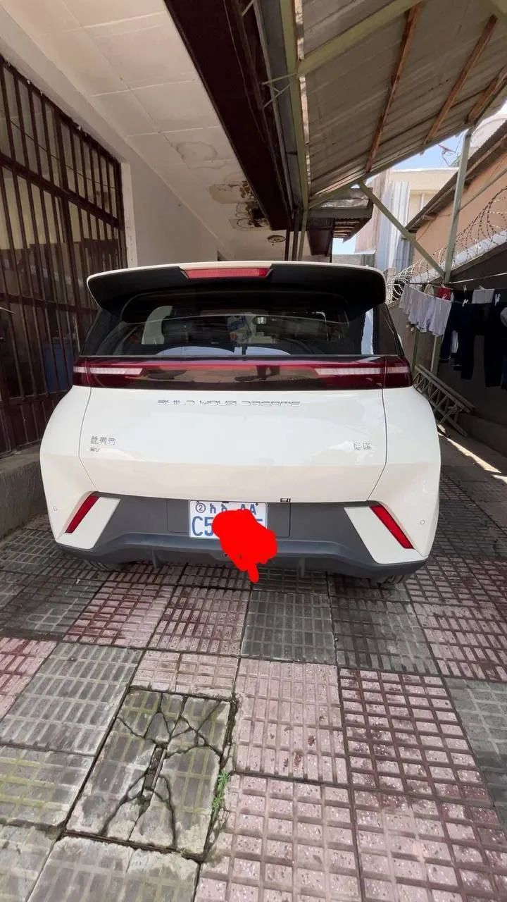 BYD Seagull 2024 Electric – photo 8