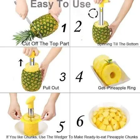 Stainless Steel Pineapple Peeler – photo 4