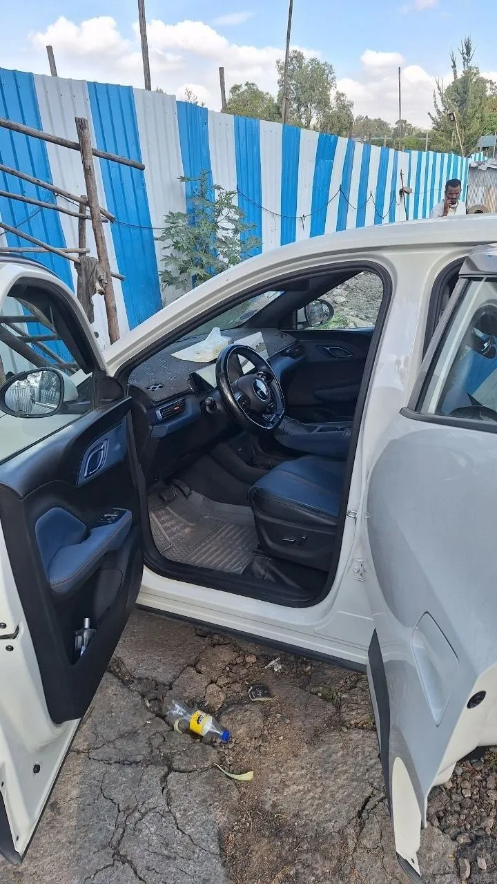 BYD Seagull Premium 2024 Electric – photo 4