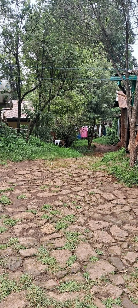 1500 sqm Land at English Embassy – photo 5
