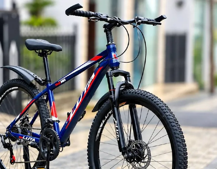LUTA 26 Inch Adult Bike – photo 4