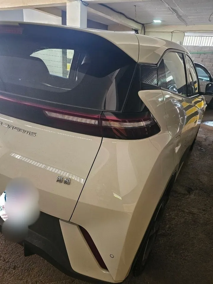 BYD Seagull 2024 Automatic Electric – photo 3