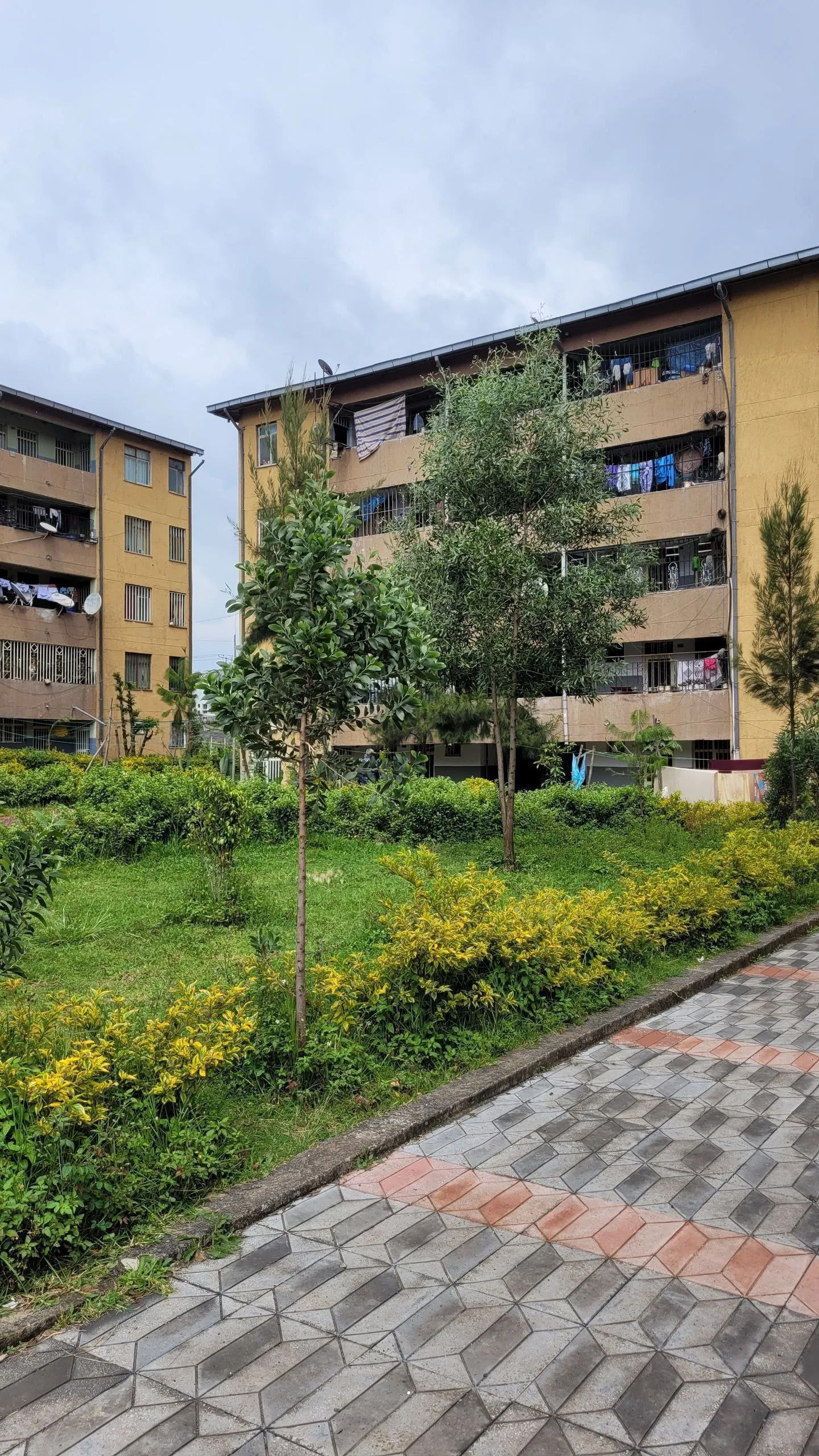2 Bedroom 20/80 Condominium Bole Arabsa – photo 3