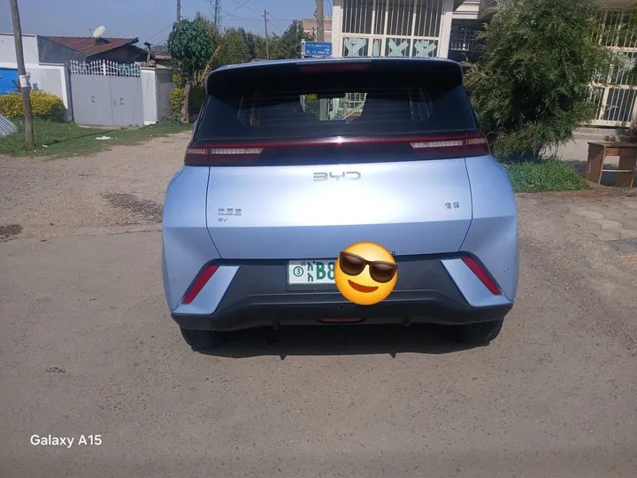 2024 BYD Seagull Code 3 – photo 3