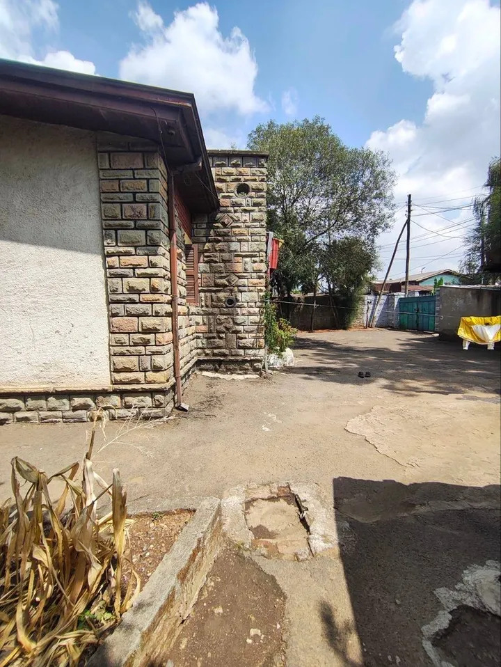 750 sqm Plot for Sale Kazanchis – photo 6