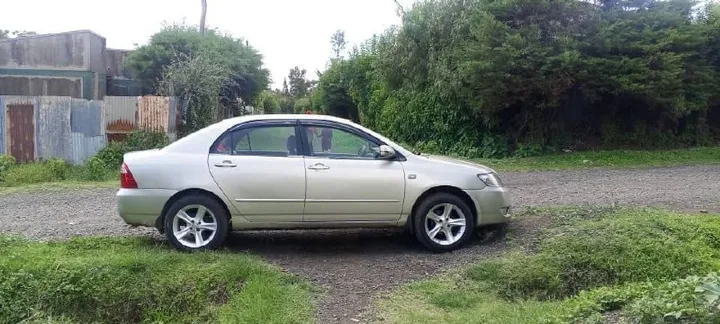 Toyota Corolla 2007 Automatic – photo 9