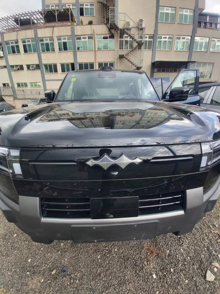 BYD Leopard 07 2025 SUV – photo 4