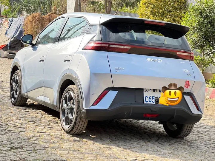 BYD Seagull Premium 2025 – photo 6