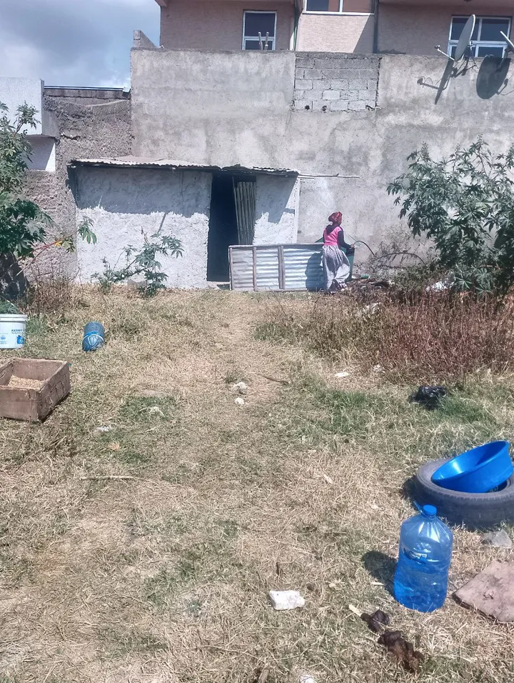 150 sqm Land for Sale Ayat – photo 7