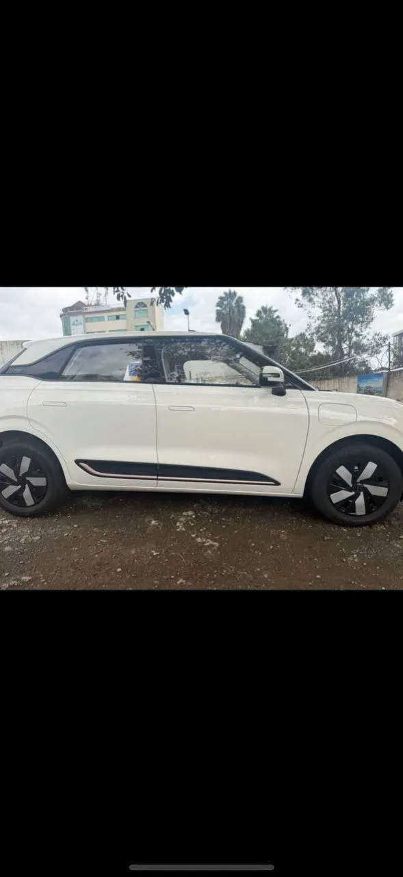 Dongfeng Nammi 01 Electric 2025 – photo 9