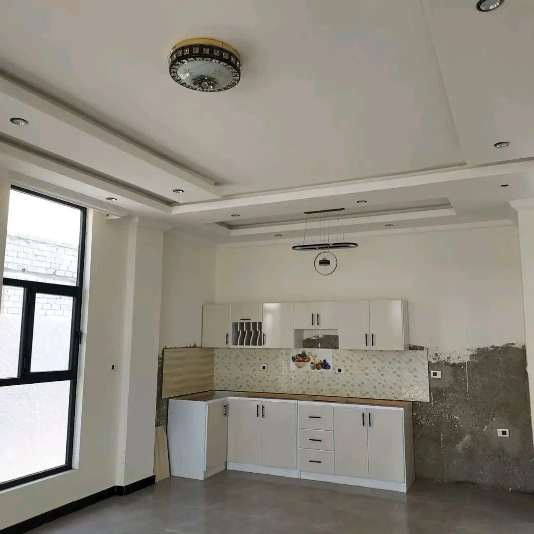 Luxury G+1 House Legetafo 500sqm – photo 3