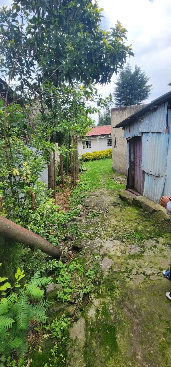 300 sqm Residential Land CMC – photo 7