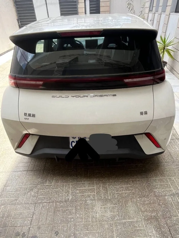 BYD Seagull 2024 Electric SUV – photo 3