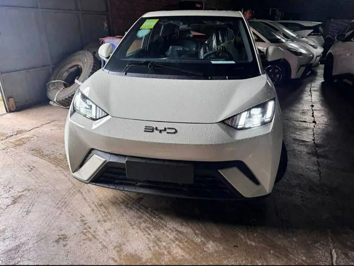 BYD Seagul Flying 2025 Electric – photo 5