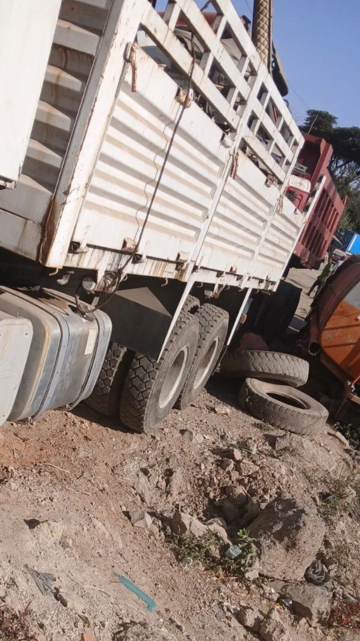 Sino Casoni 2022 Truck – photo 4