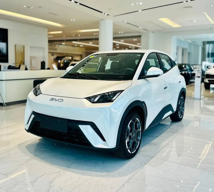 BYD Seagull 2025 Electric – photo 7
