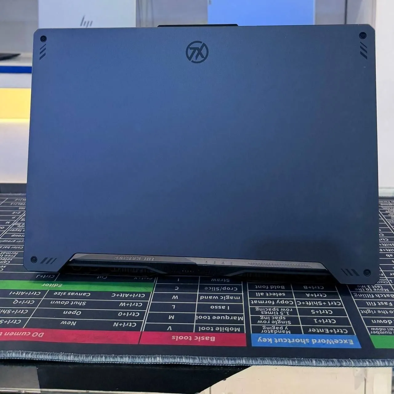 Asus TUF Ryzen 9 RTX 3060 Gaming Laptop – photo 4