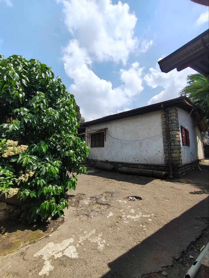 750 sqm Plot for Sale Kazanchis – photo 4