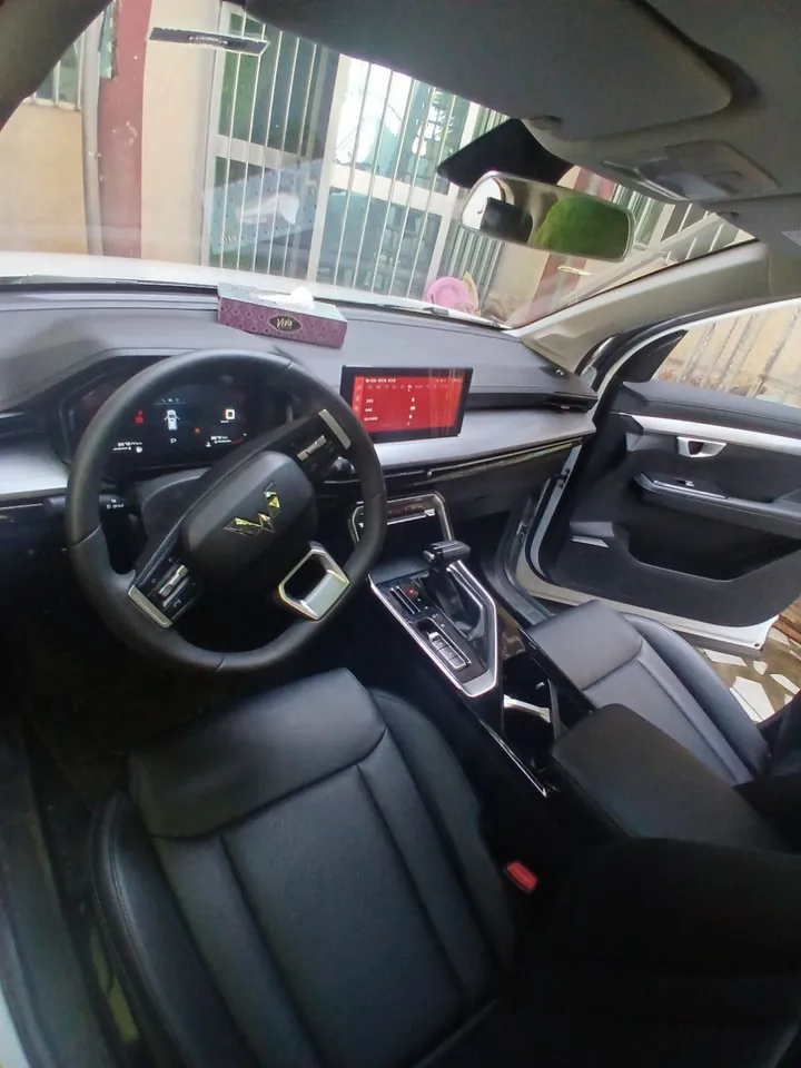 Wulling 2023 Automatic Rental – photo 3