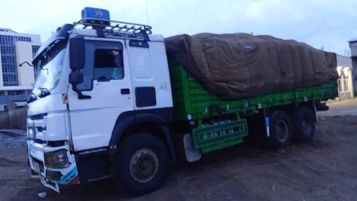 Sino Truck Kasoni 2015 – photo 5