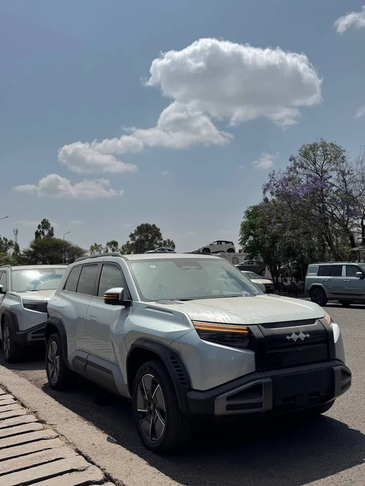 BYD Leopard 3 Ultra RWD SUV – photo 6