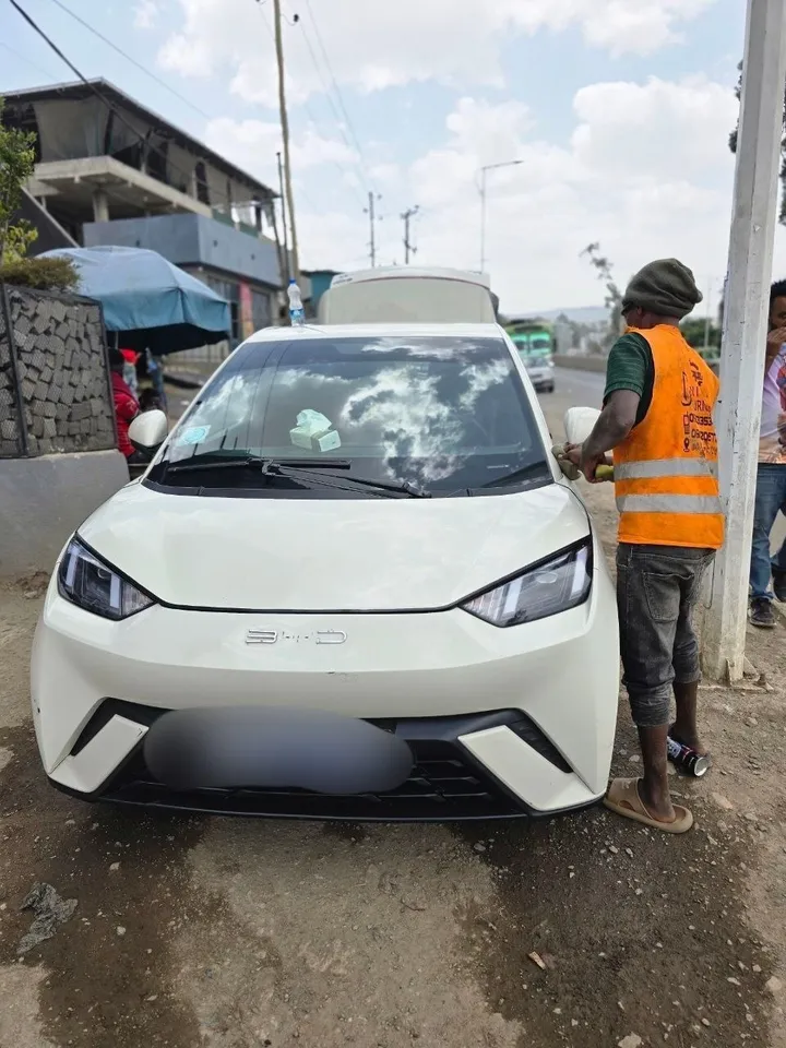 BYD Segull Electric 2024 – photo 4