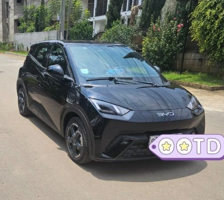 BYD Seagull 2024 Electric – photo 5
