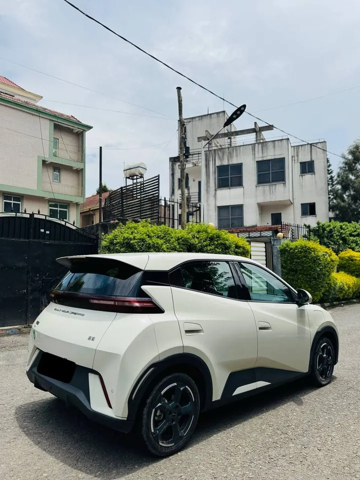 BYD Seagull 2024 Electric – photo 4