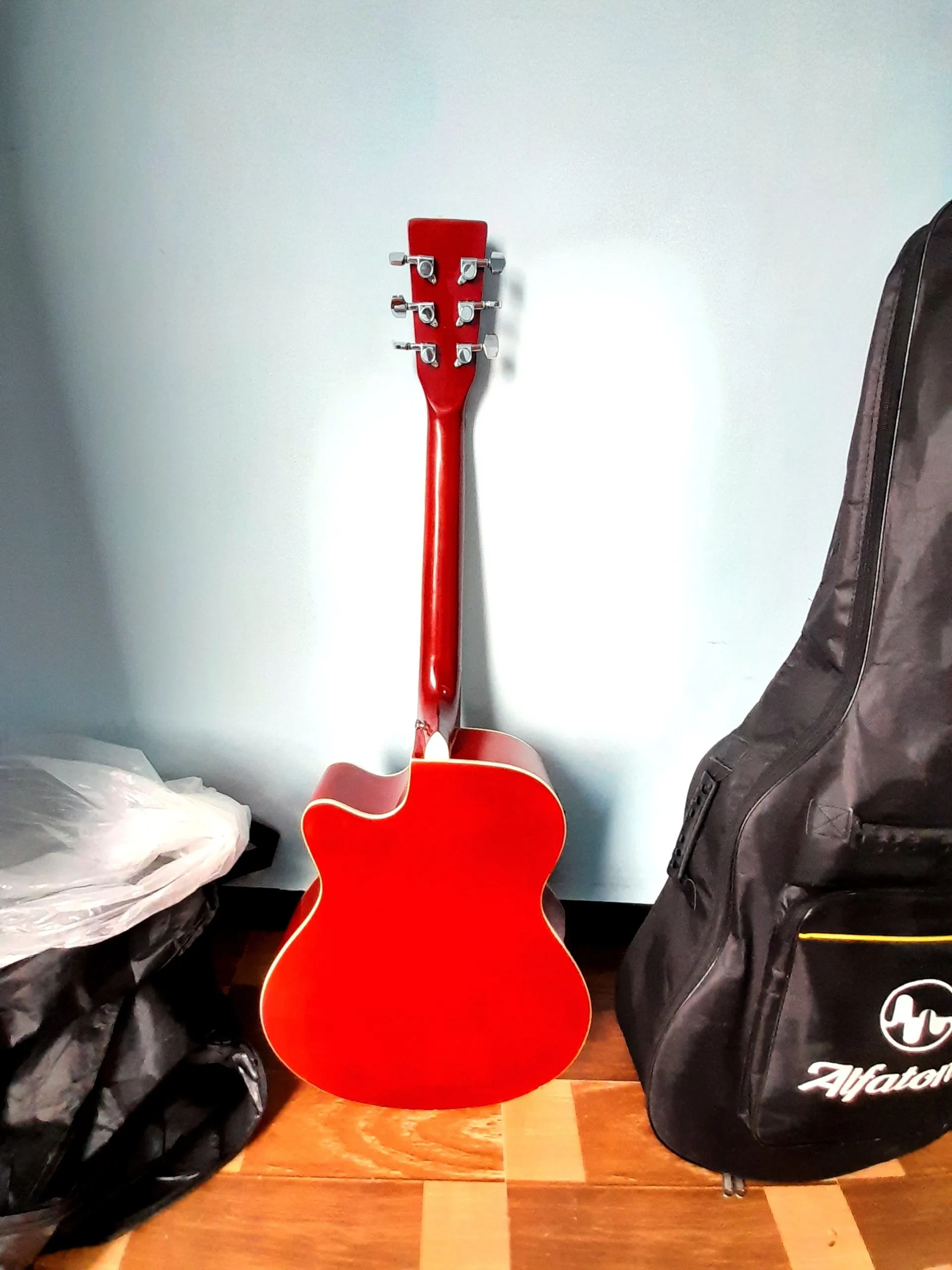 Lucky Star Semi Acoustic Guitar – photo 6