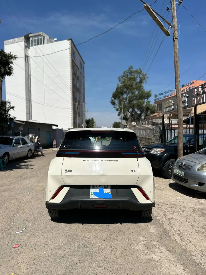 BYD Segul 2024 Electric – photo 5