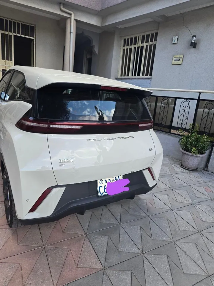 BYD Seagull Flying Electric 2024 – photo 3