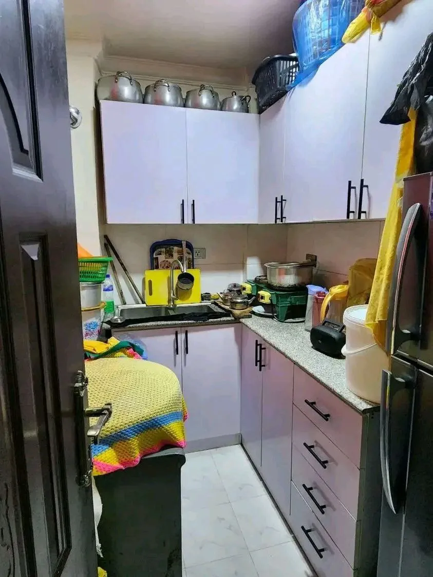 1 Bedroom Apartment 47 sqm – photo 5