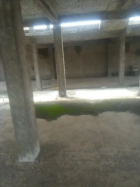 G+2 Terrace Skeleton House Ayat – photo 7