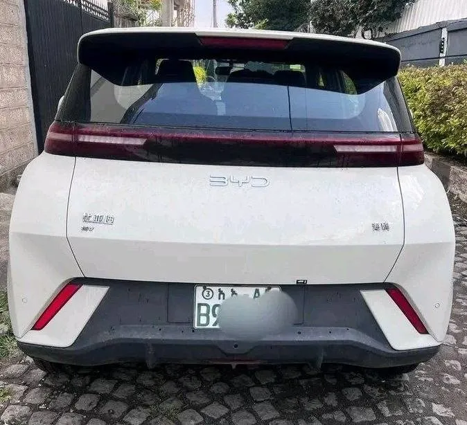 BYD Seagull 2025 Electric – photo 4