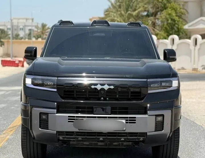 BYD Leopard 2025 SUV – photo 3