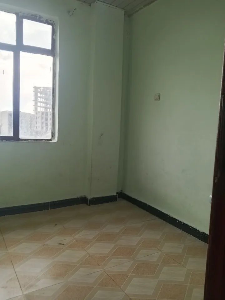 Bole Arabsa 2 Bedroom Condominium – photo 8