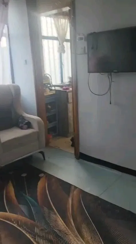 1 Bedroom Condominium Gofa Mebrat Hayl – photo 5