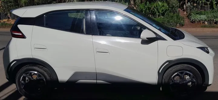 BYD Seagull 2024 Electric – photo 4