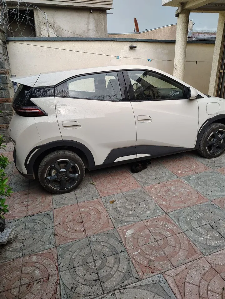 BYD Seagull 2024 Electric – photo 3